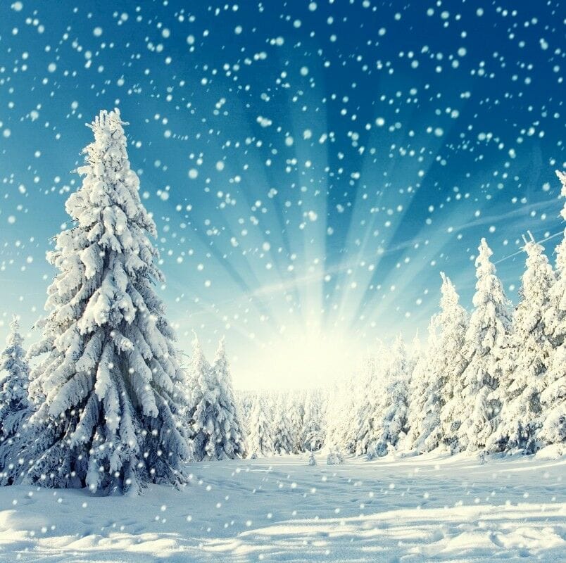 Новогодний баннер. Источник: Pinterest