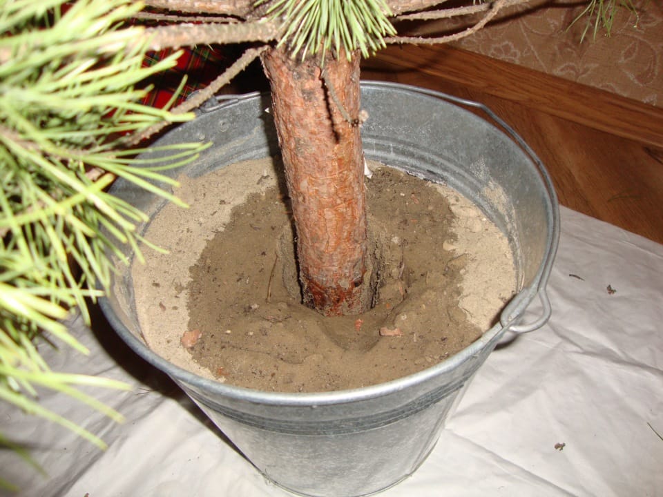 Источник: Drive.ru