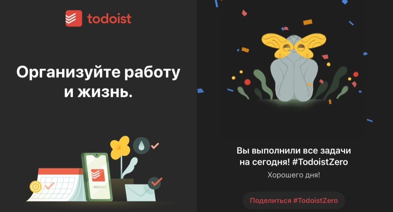 Источник: приложение Todoist.